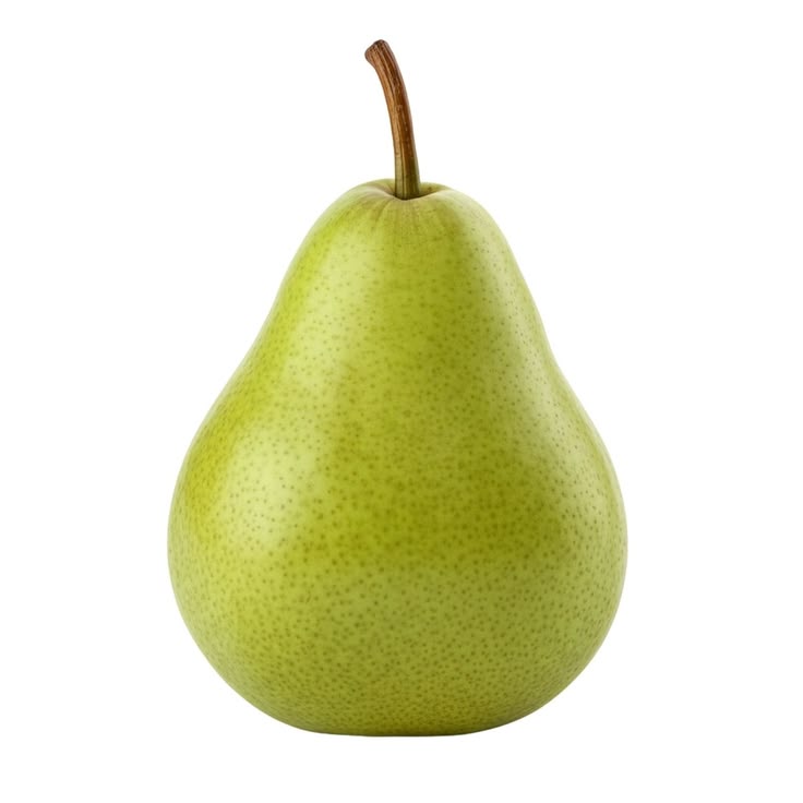 𝖆𝖋𝖗𝖔𝖉𝖎𝖙𝖊 tweet media