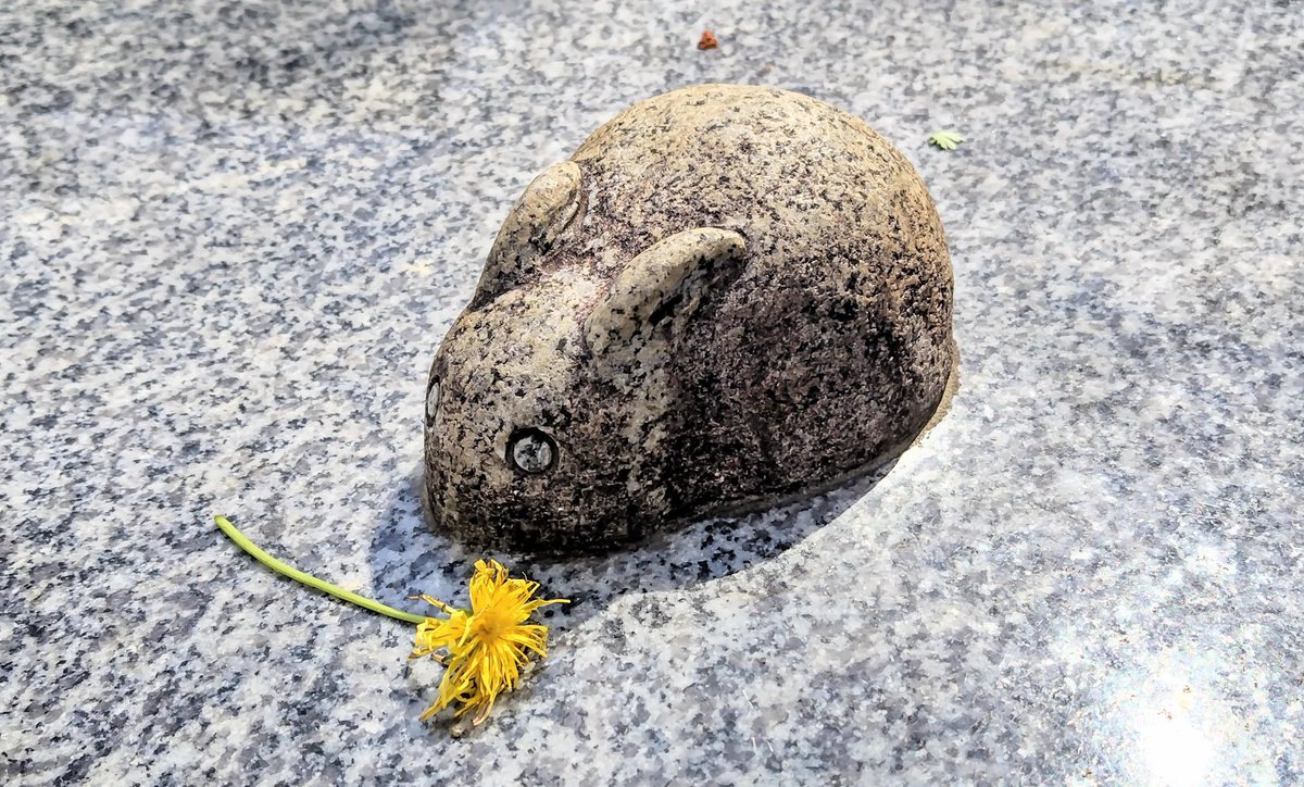 メロンソーダ高場🍈 tweet media