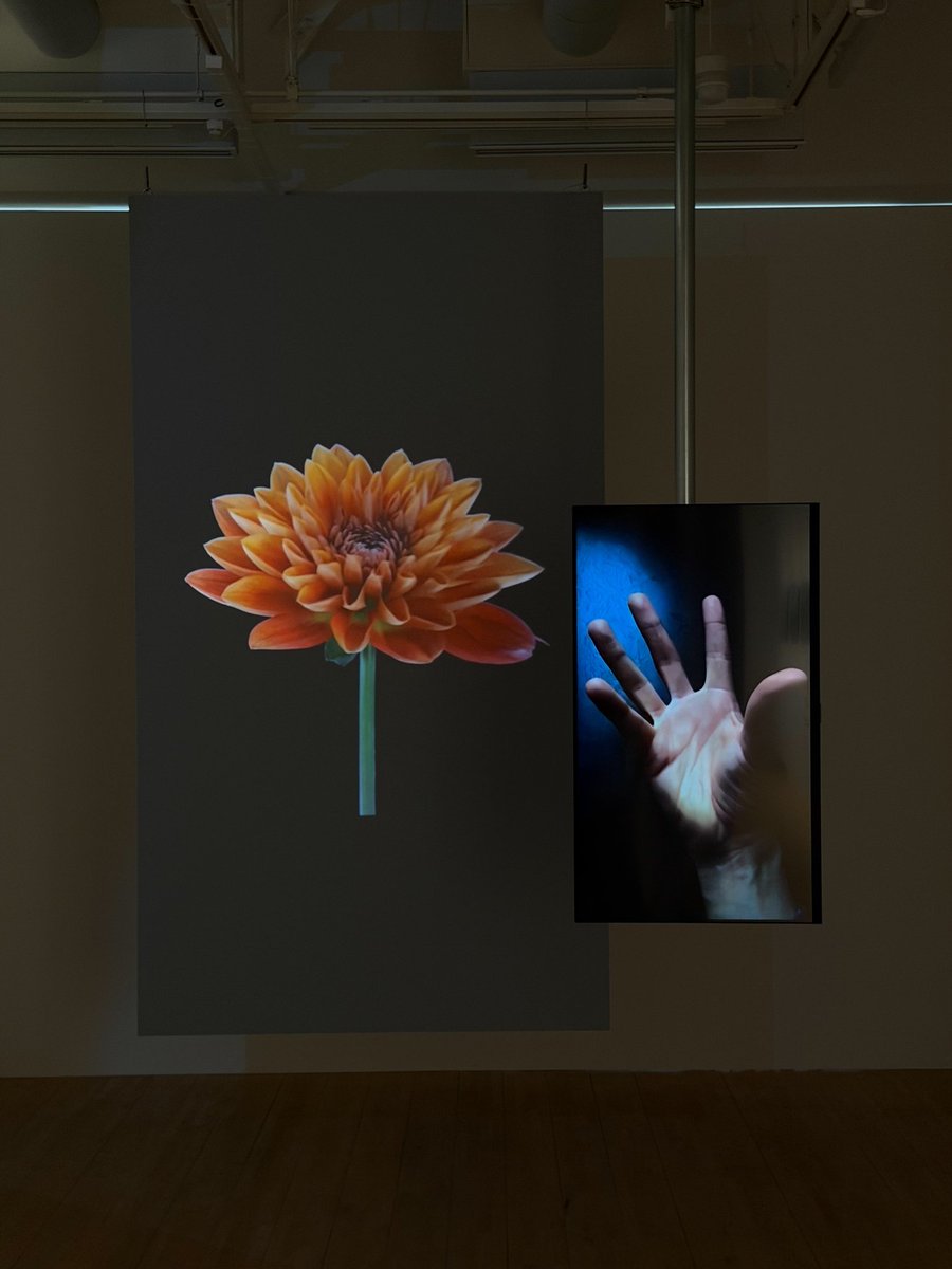 ポーラ ミュージアム アネックス tweet media