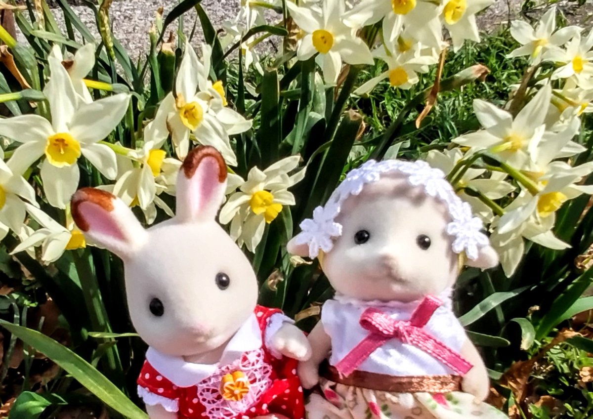 メロンソーダ高場🍈 tweet media