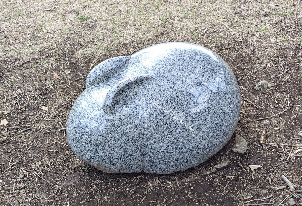 メロンソーダ高場🍈 tweet media