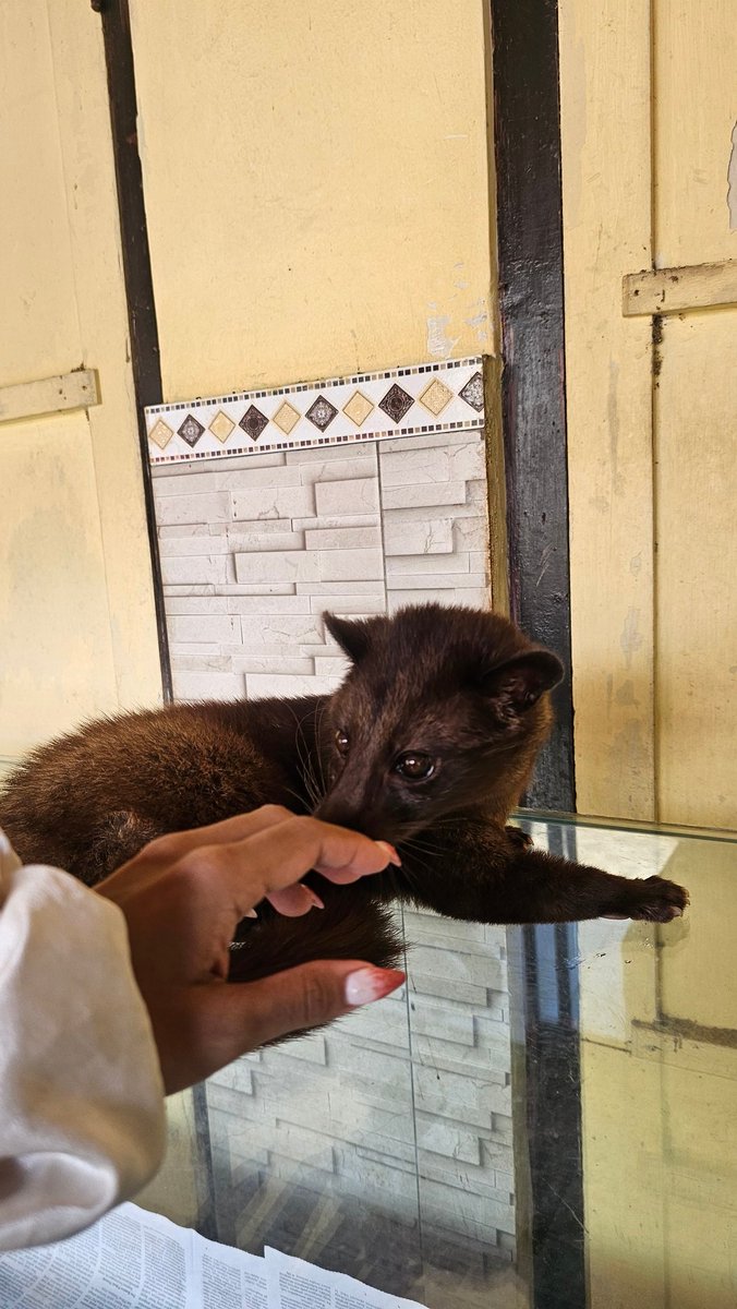 lasagnyaaa ☀️ tweet media