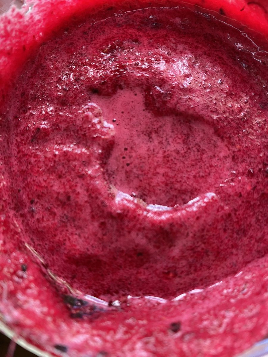 Mi galería de lo más wholesome 🍓🥦🌸🧃