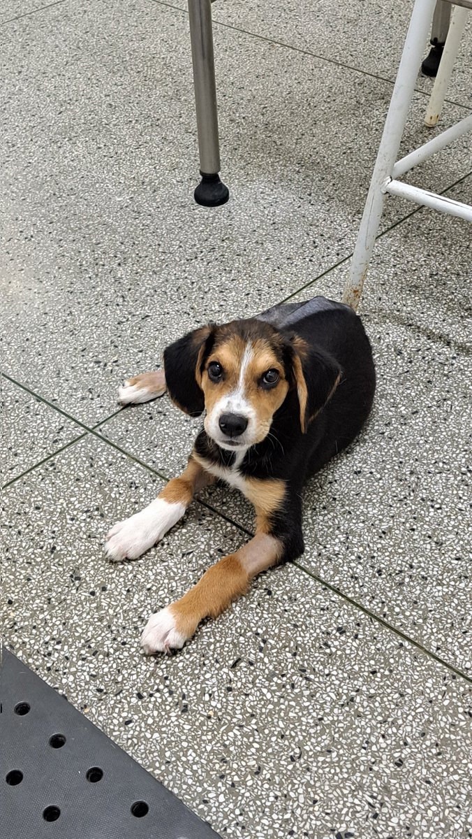 ᴍɪᴀ ᴊᴀʏ⁷ ᴠᴀɪ ᴠᴇʀ ᴏ ʙᴛs tweet media