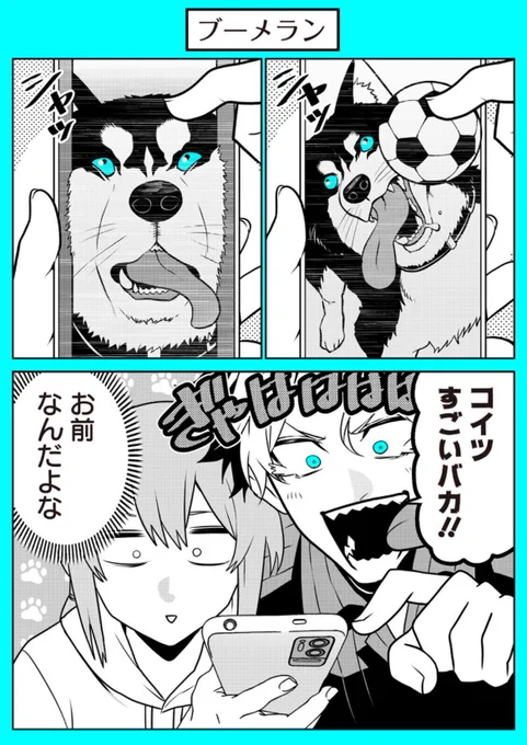 ブーメラン。 