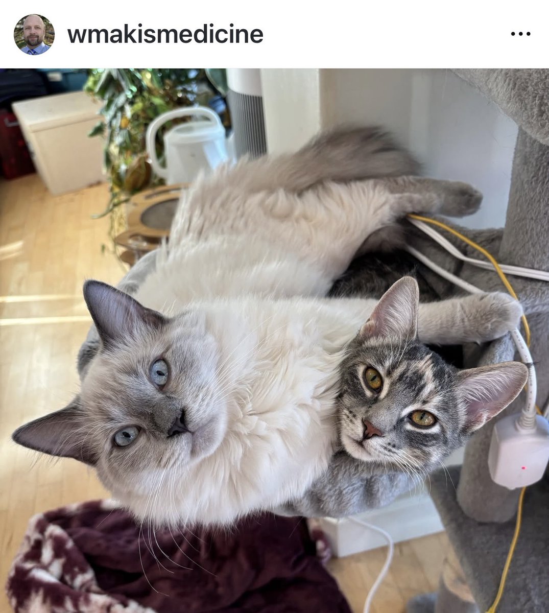 LA🇨🇦 tweet media