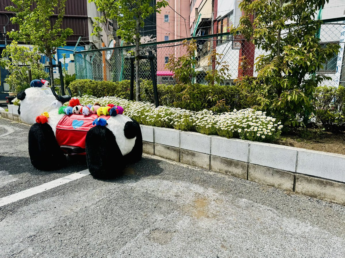 浅草花やしき【公式】 tweet media