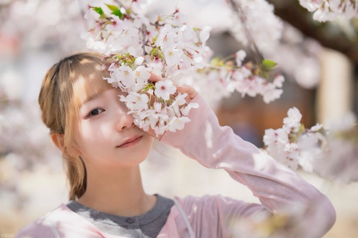 さくらの影