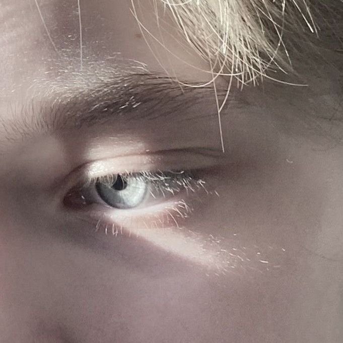 aria (lily evans’ lawyer) tweet media