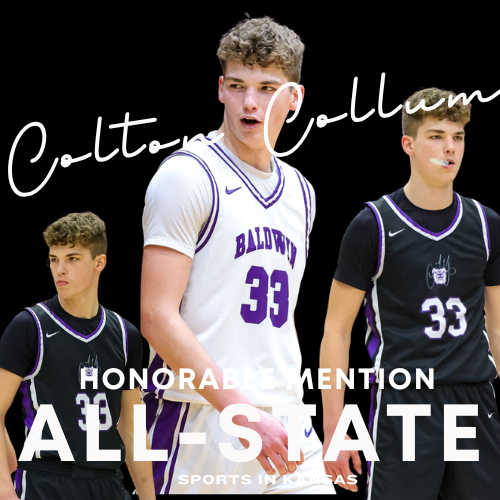 Baldwin Basketball tweet media