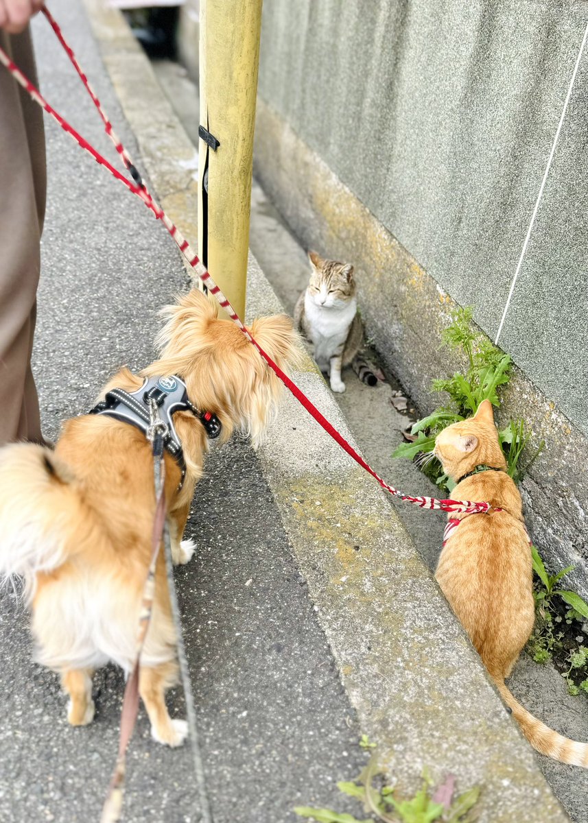 らびまる🐰 tweet media