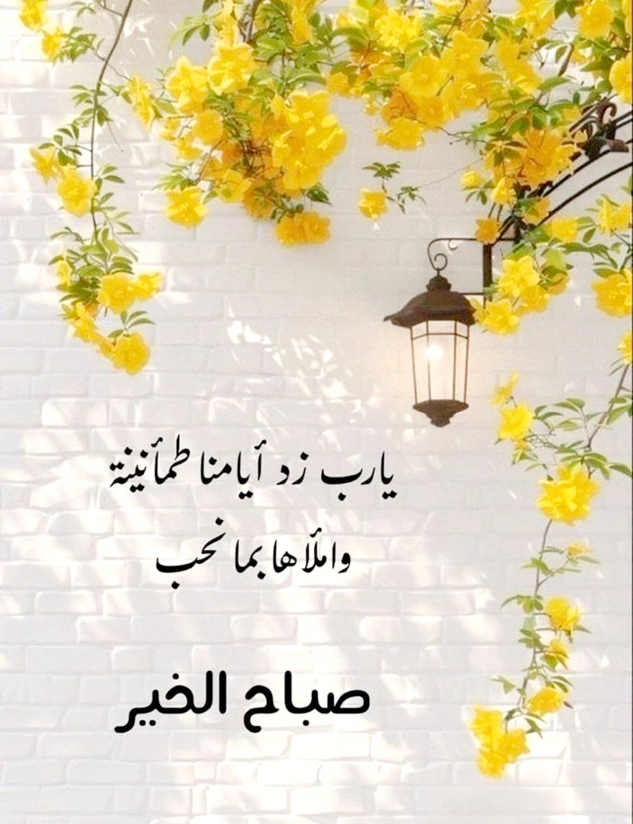 ✴ السراب ✴ tweet media