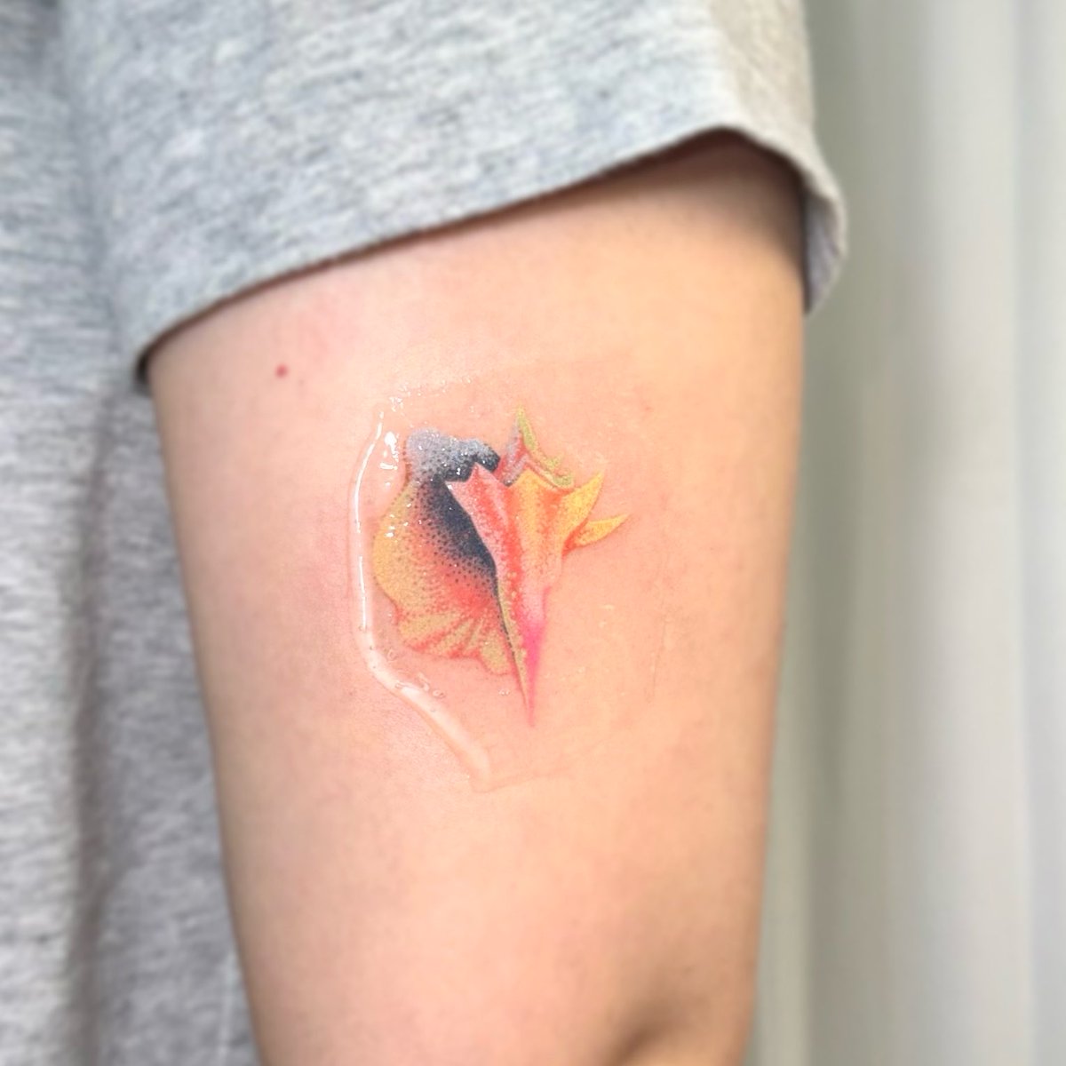 유정 ….🪡핸드포크 tweet media