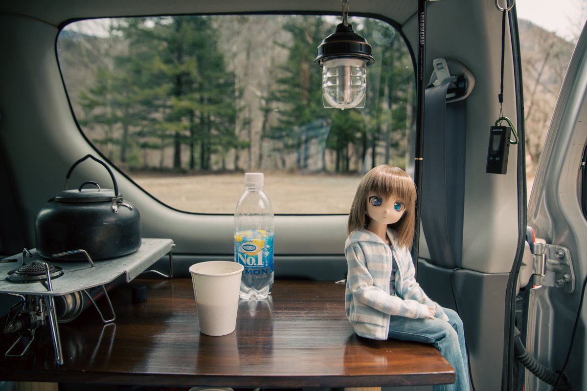 えぼさわ🇧🇴🌹 tweet media