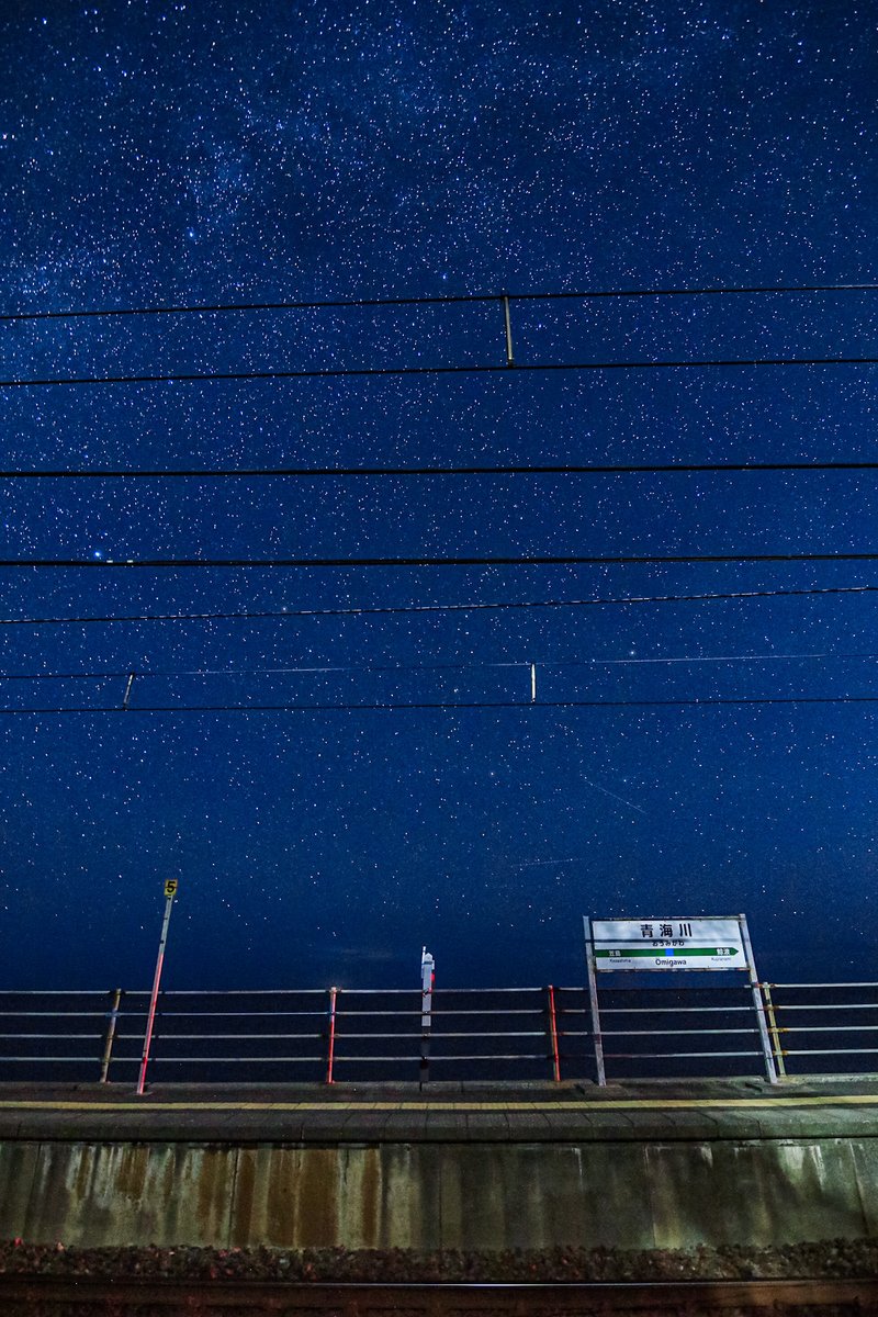 ʚ 🐤ゆーにゃっしゅ🐤ɞ tweet media