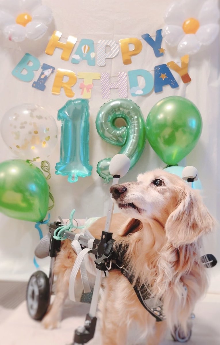 アロとなぎ tweet media