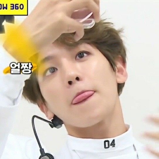 mimi🐾 tweet media