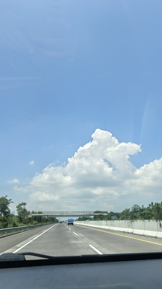 cancerJune tweet media