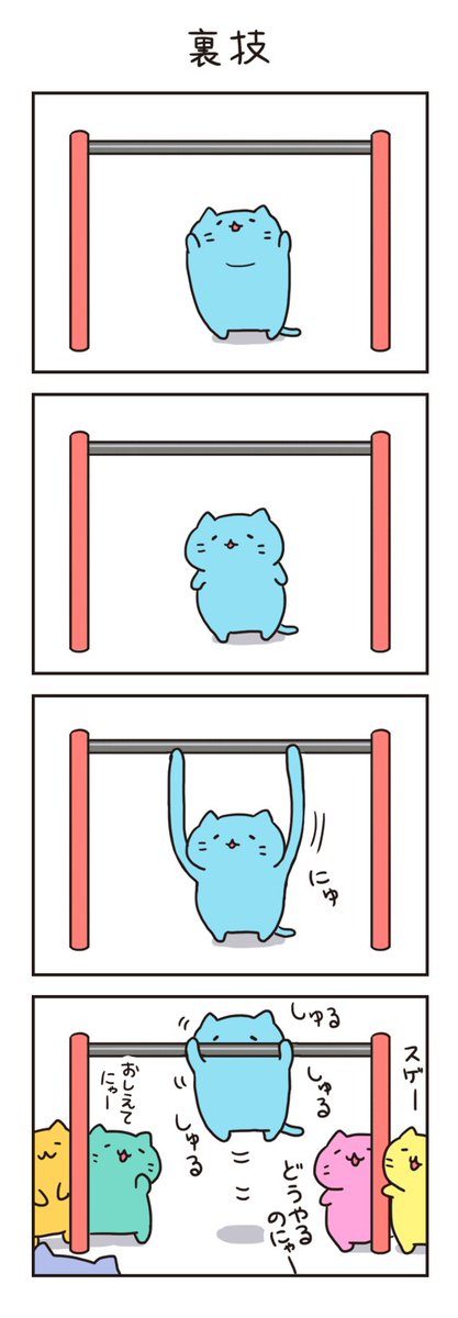 みっちりねこ公式🐾 tweet media