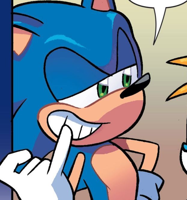 ── 𝐒𝐎𝐍𝐈𝐂 . 𝐌𝐎𝐓𝐌 . tweet media