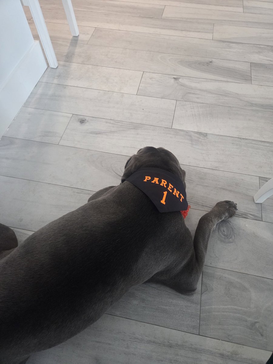 ENeiberger's tweet photo. @giniparent @bernieparent 🧡 https://t.co/TR2P49I6VC