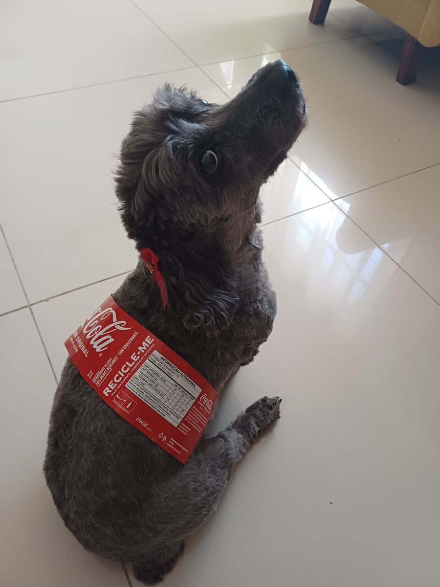 bru ENHYPEN IS 7 tweet media