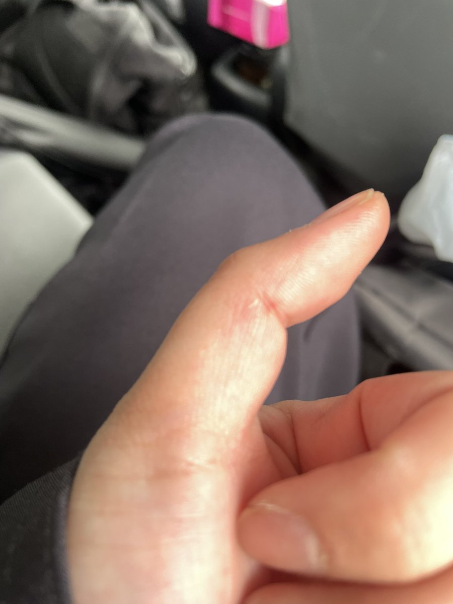 シルバーバック🦍 tweet media