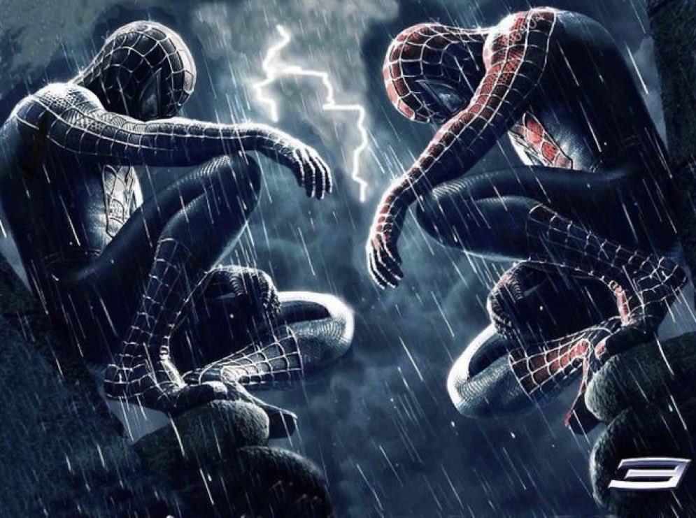 🕸️ tweet media