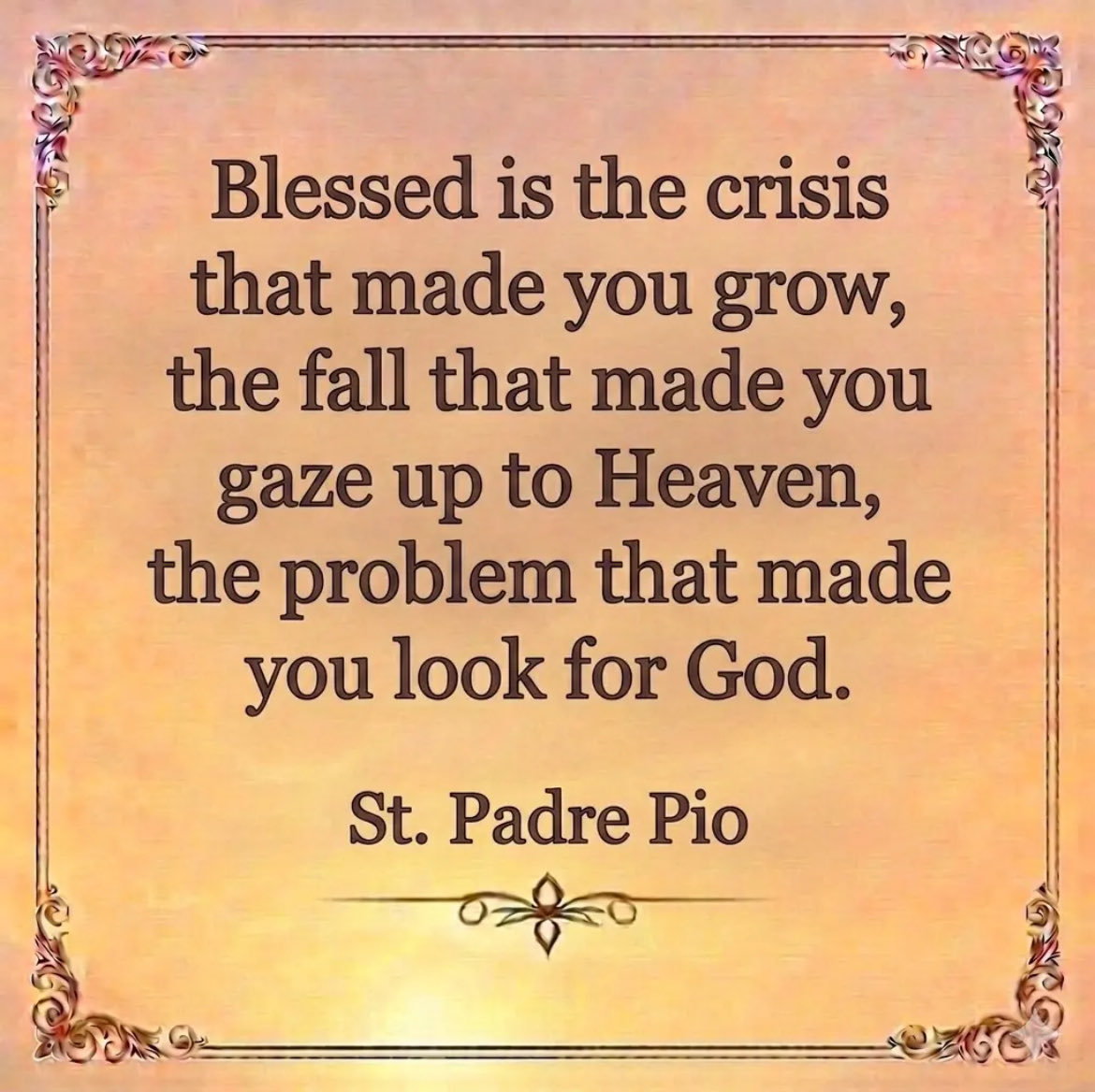 ladywaranon tweet media