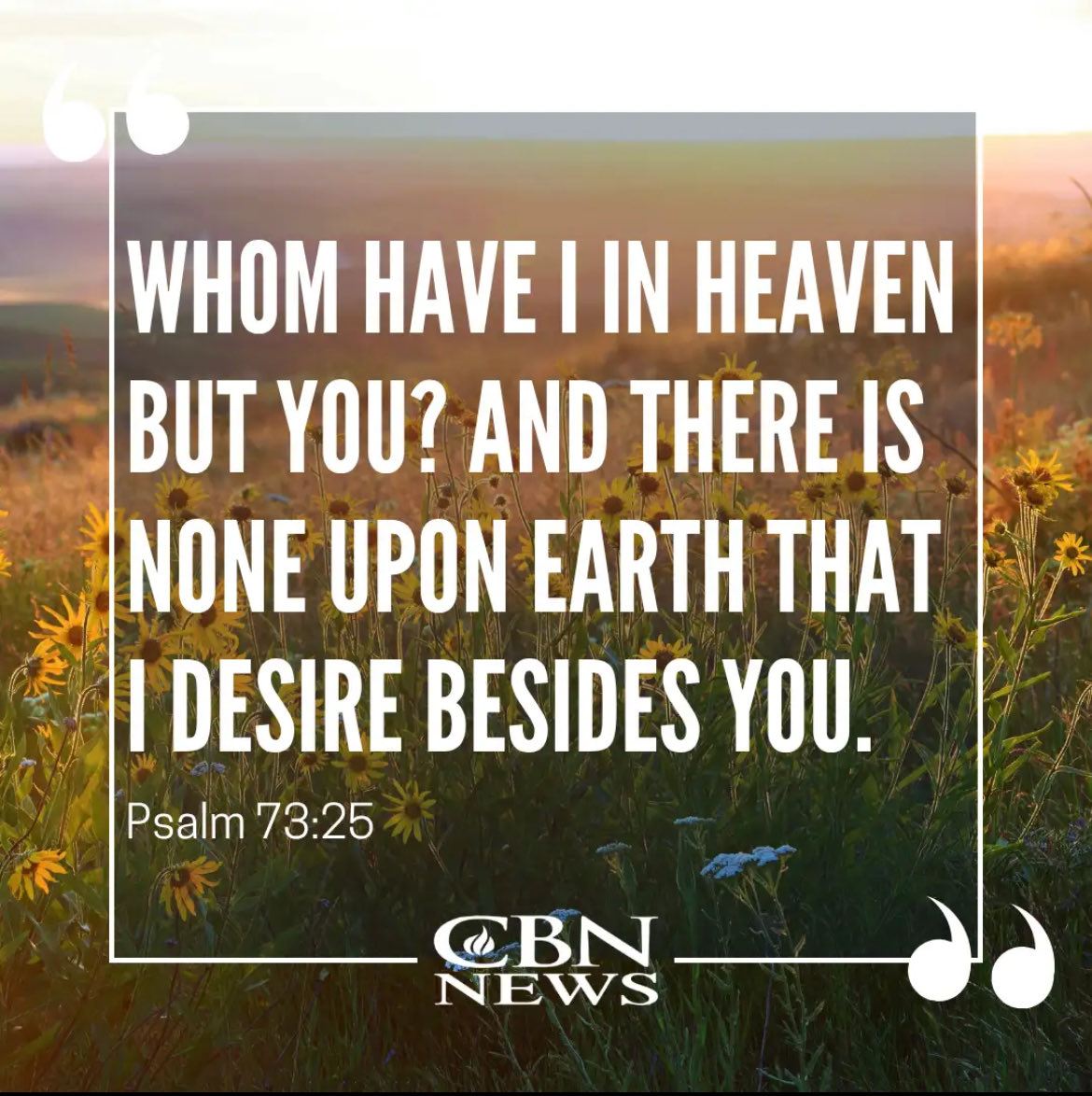 ladywaranon tweet media