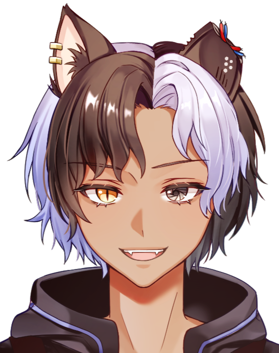 Neeto.stray 🐈📸💥 tweet media