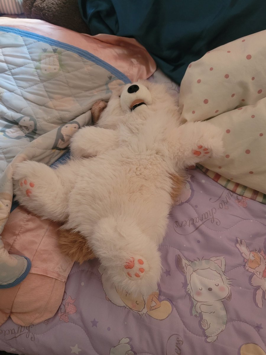 るぅたん tweet media