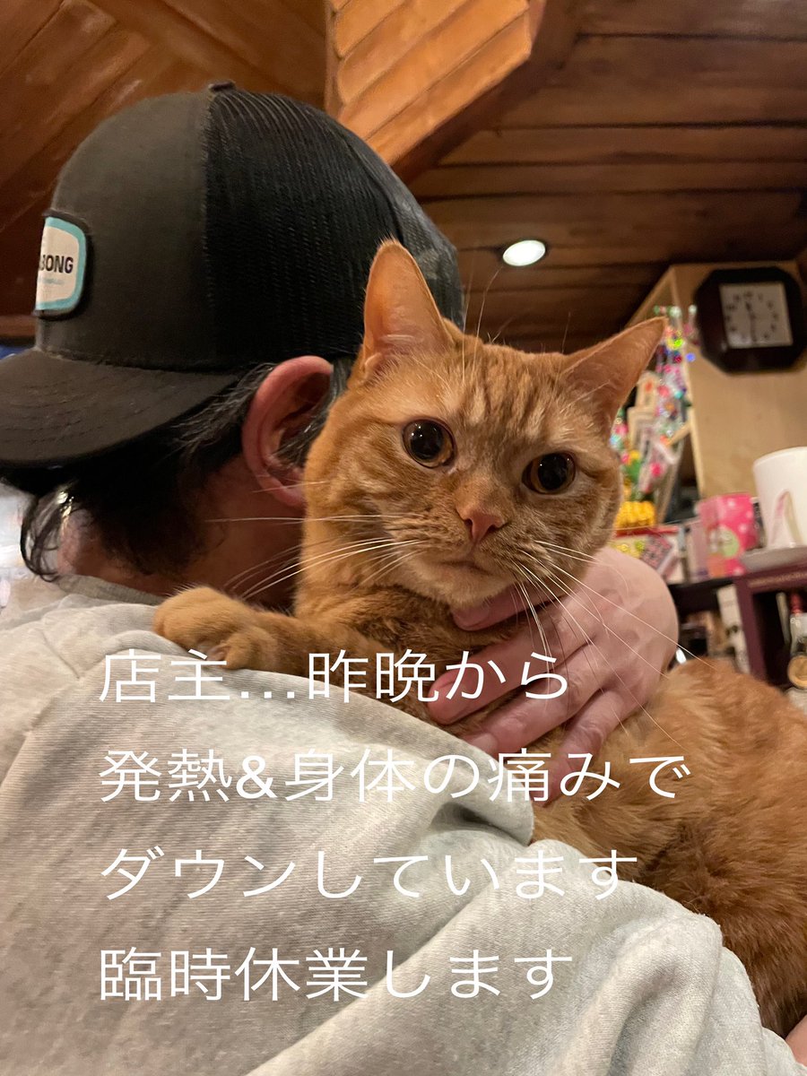 鶏処 光光光 tweet media