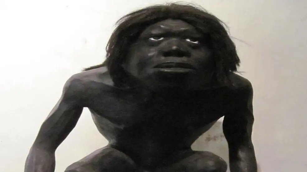 👌︎☼︎⚐︎ ✋︎💧︎ ☝︎☼︎☜︎☜︎☠︎ tweet media