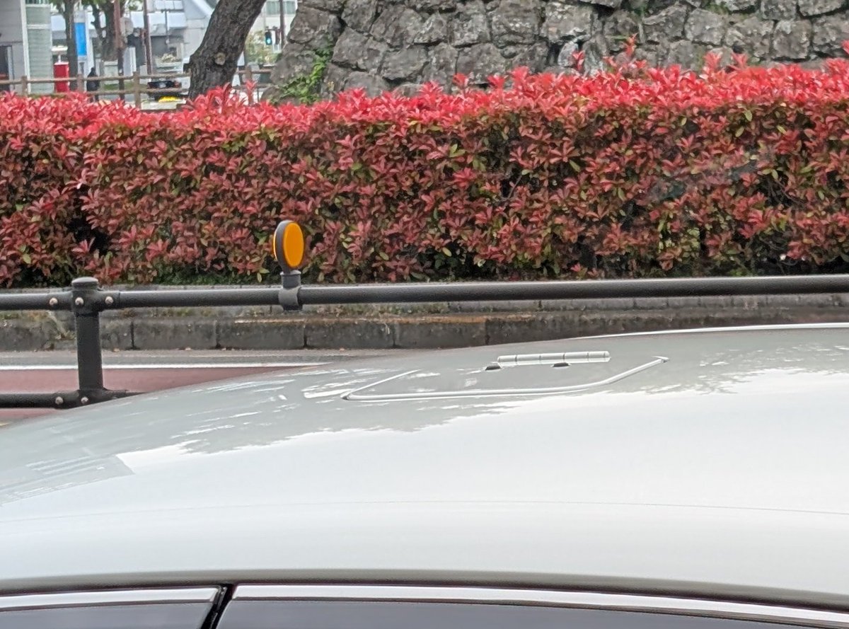 よっこ tweet media
