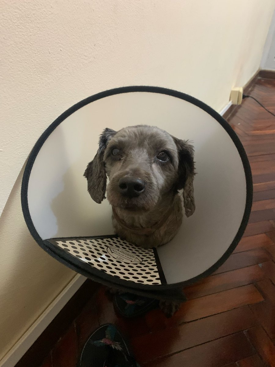 bru ENHYPEN IS 7 tweet media