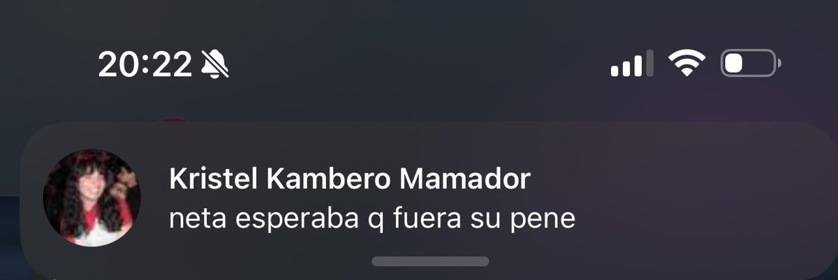 jovanipapas tweet media