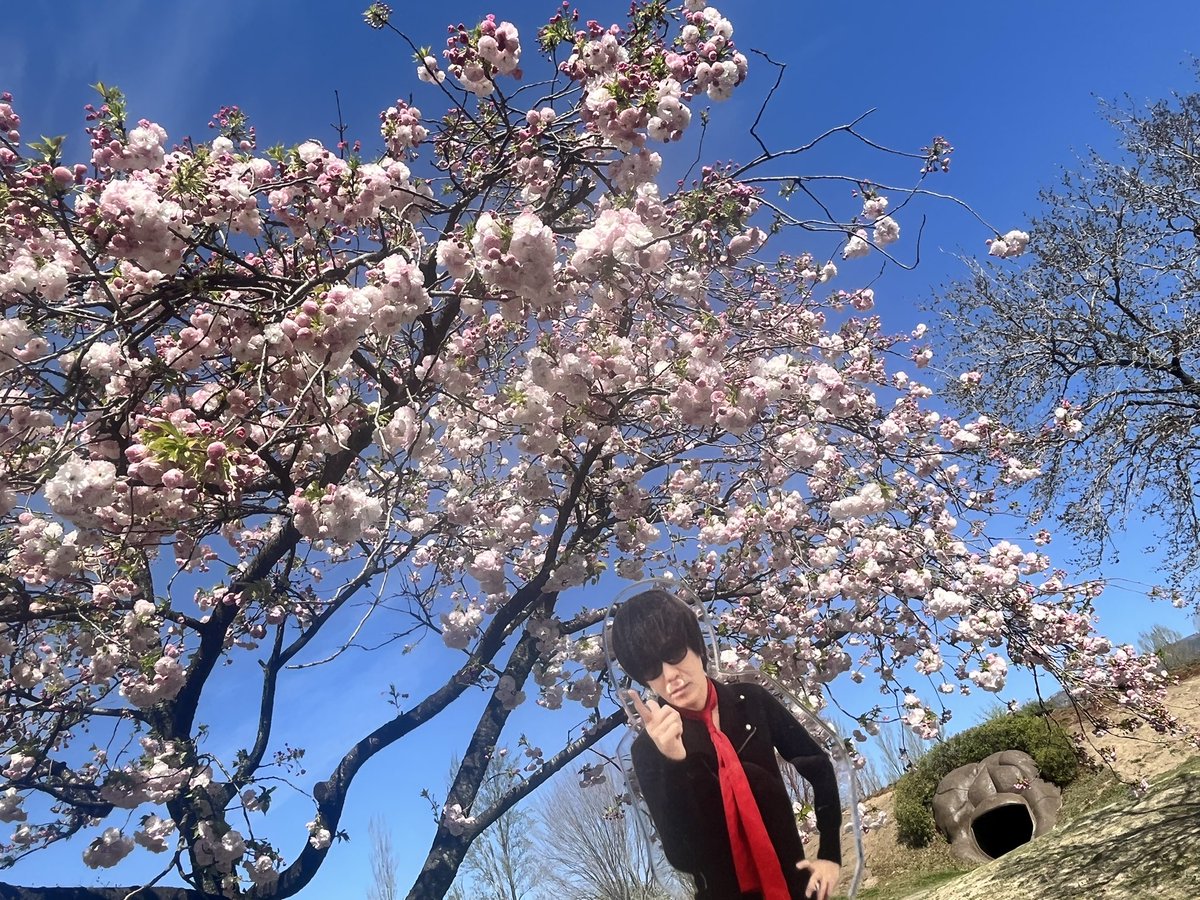 ナカバヤシ(ザ・マルフォイズ) tweet media