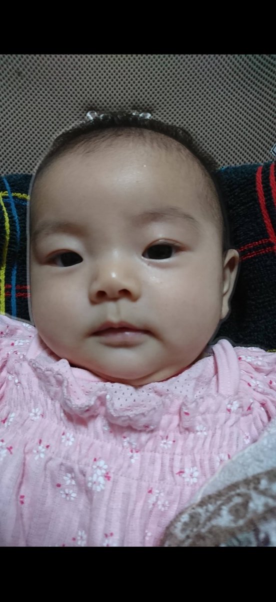 やんばる娘 tweet media