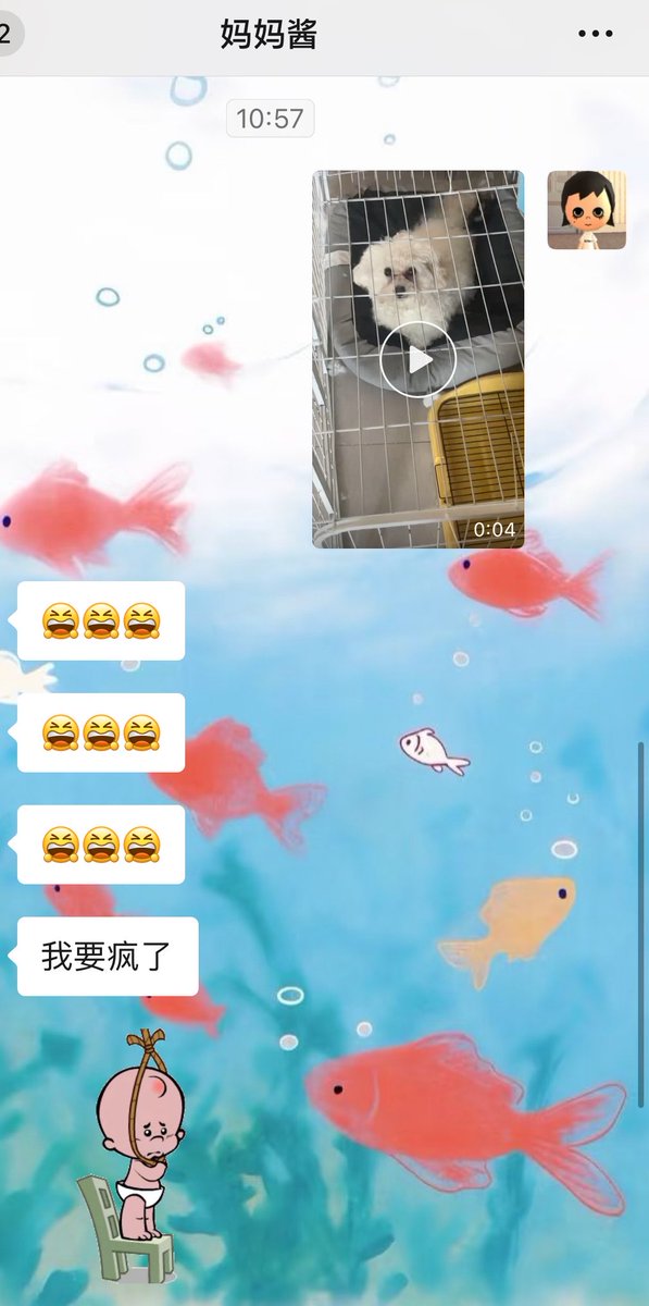 我现在有点冷酷 tweet media