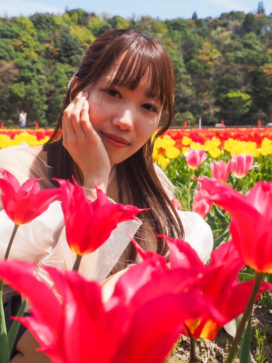 どじょう掬いまんじゅう🍎 tweet media