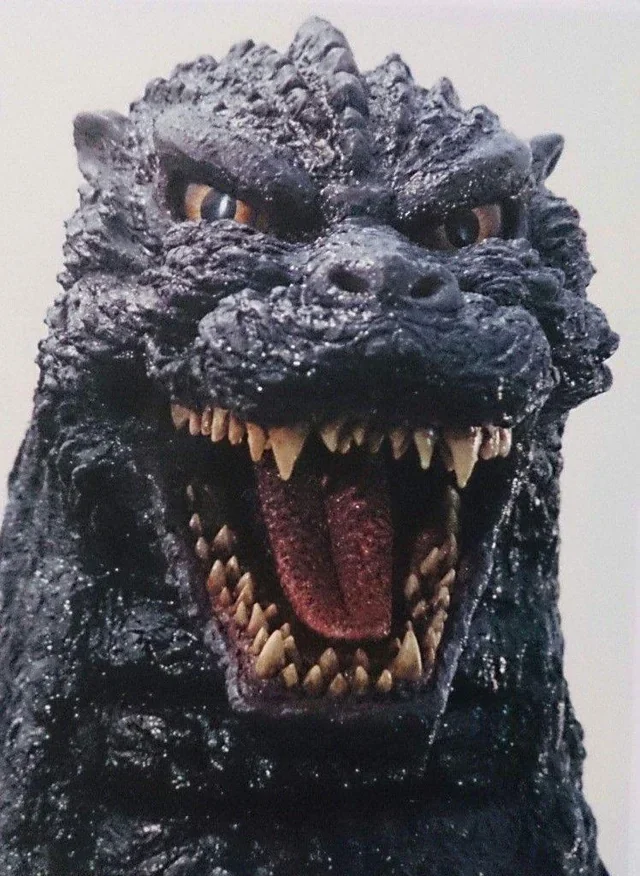 aynlander tweet media