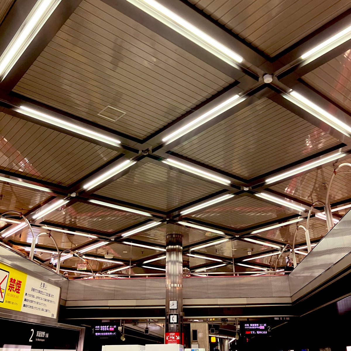 兎花(うか)🌸 tweet media