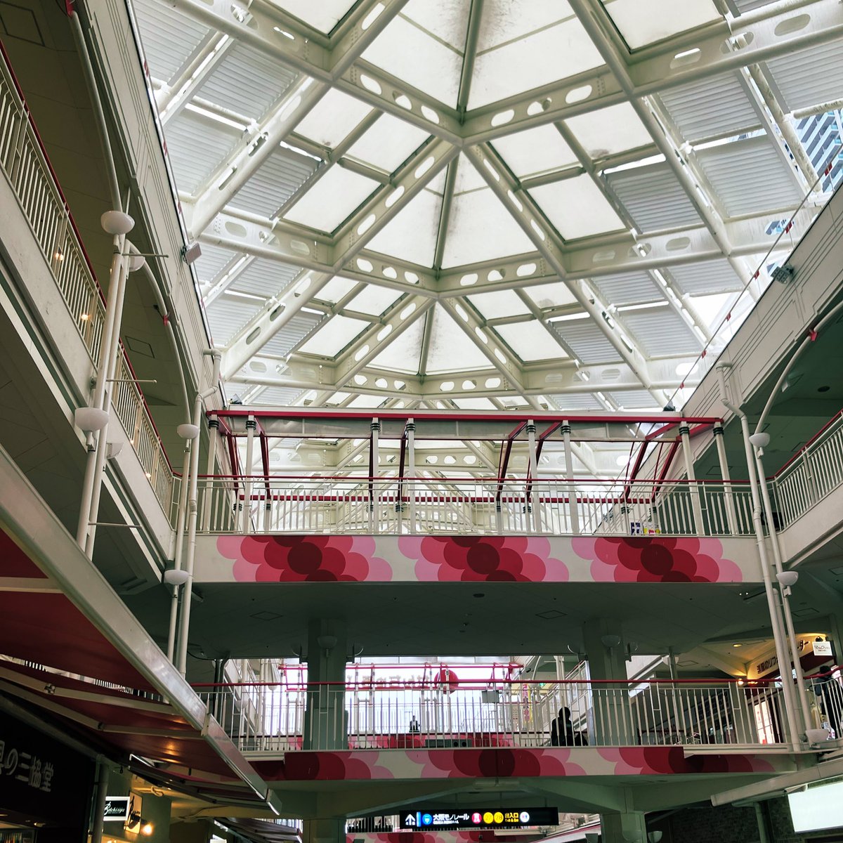 兎花(うか)🌸 tweet media