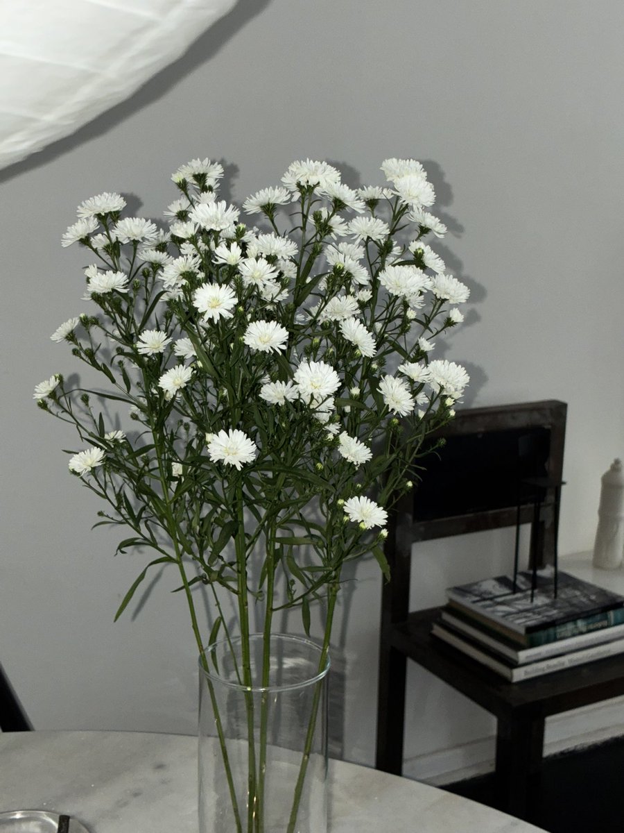 viúvo da vidrotil tweet media