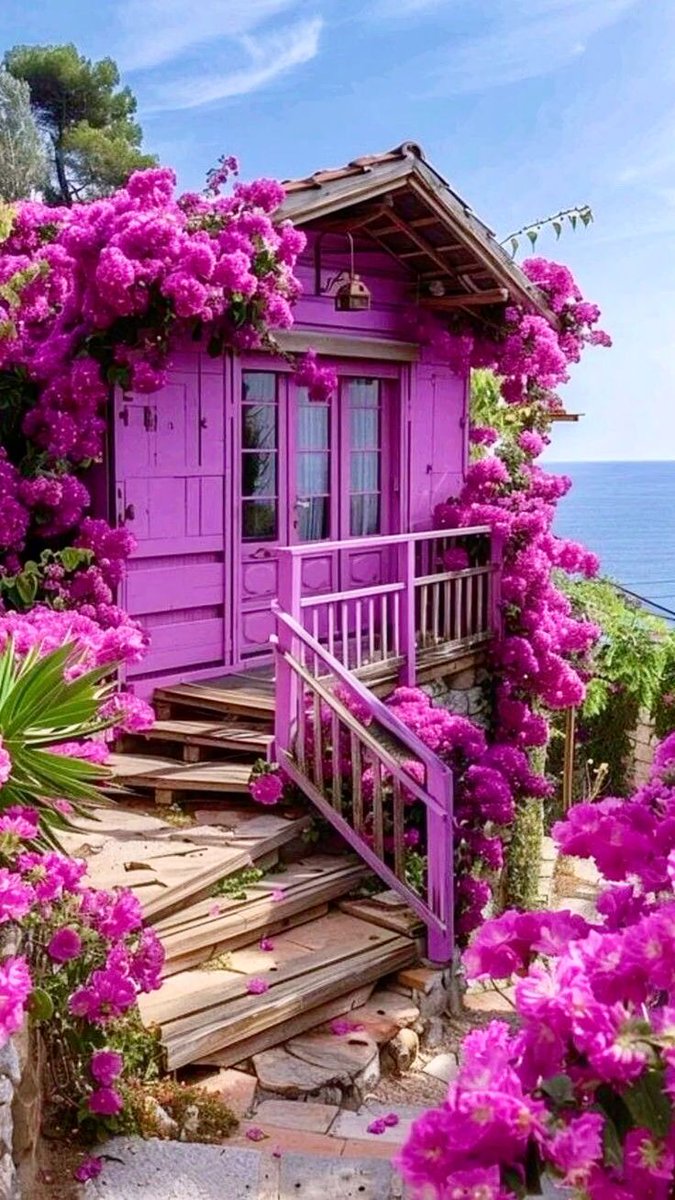 Ahmet Güzel tweet media