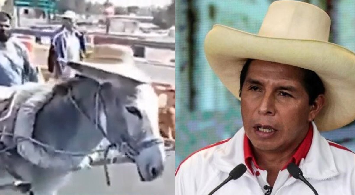 Xcilion Cial tweet media