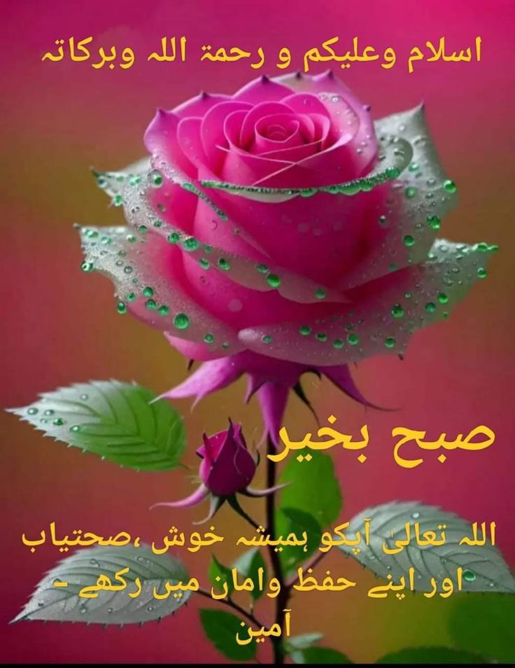 Mir Jan Bugti tweet media