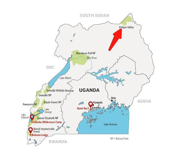 Bonnita🌻 tweet media