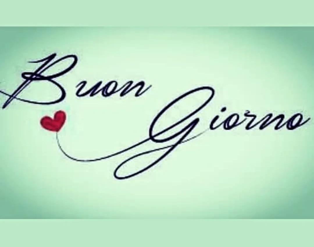 CAVALIERE NICOLA 73 🧔 tweet media